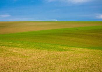 EAttachments93887658457b093af3f0bf19071102dd7fc9012 xl 1024x683 1