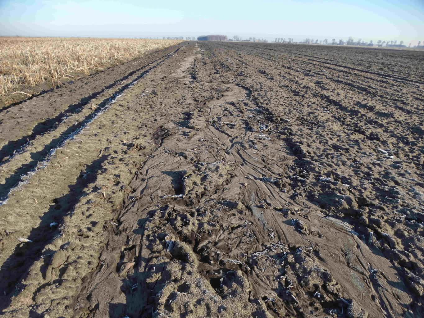 Czy przymrozki grożą uprawom? Rolnicy martwią się o plantacje 3 645489746_1534046598724484_4749343342342896039_n.jpg