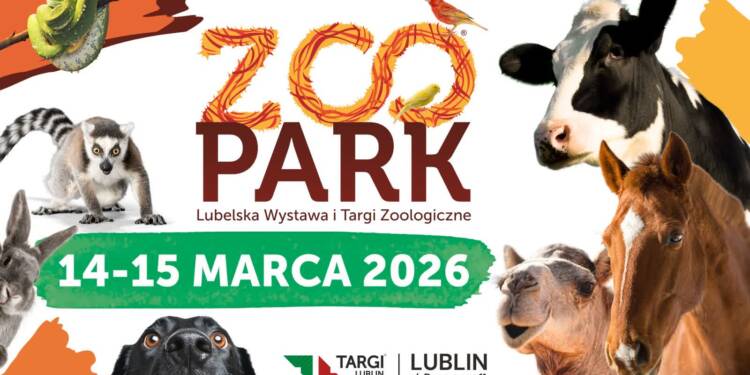 EAttachments938950423acf74d53175c81abb18e52d066399a xl