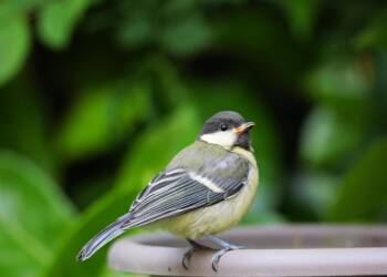 EAttachments939014743ce07d8965b49f7aa58b81a7bf01ff7 xl