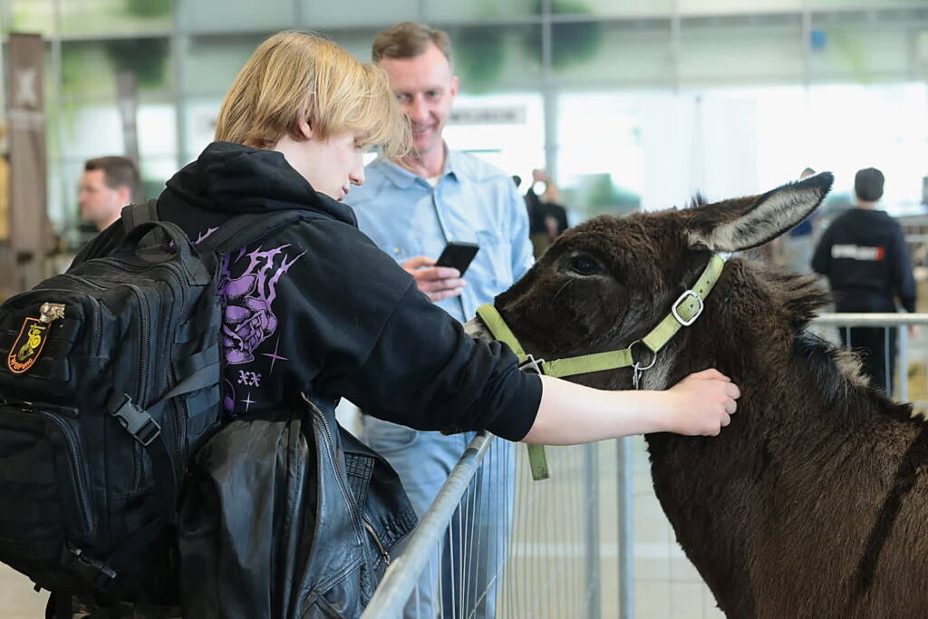 EAttachments9390638cad8d0a6e5d5f018c1448ae9898a5aeb xl