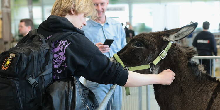 EAttachments9390638cad8d0a6e5d5f018c1448ae9898a5aeb xl