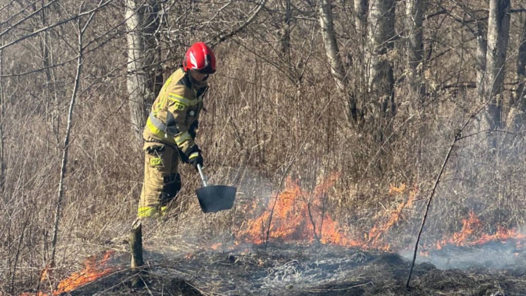 EAttachments9390713d60cbf2c9bff3d84a2b68194064f3c9c xl