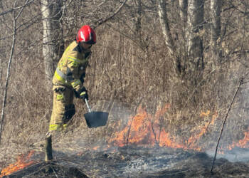 EAttachments9390713d60cbf2c9bff3d84a2b68194064f3c9c xl