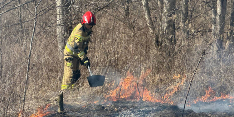 EAttachments9390713d60cbf2c9bff3d84a2b68194064f3c9c xl