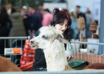 EAttachments93911603c8427670e355f4bf75d3e7c08520190 xl 1