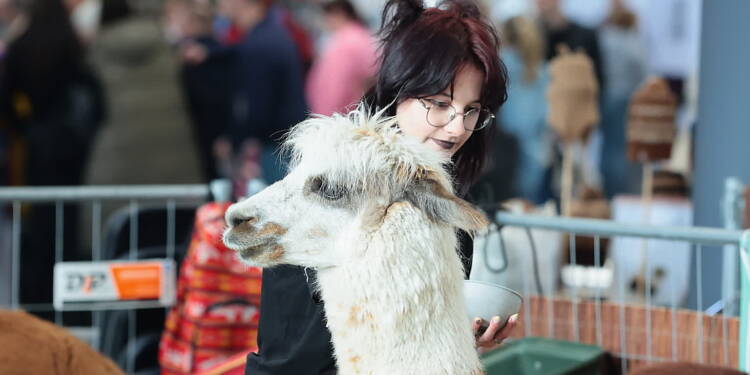 EAttachments93911603c8427670e355f4bf75d3e7c08520190 xl 1