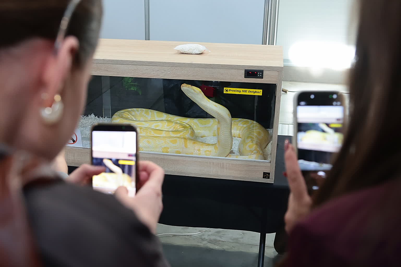 Tłumy w Lublinie na Zoopark. Rodziny zachwycone zwierzętami z całego świata [ZDJĘCIA]