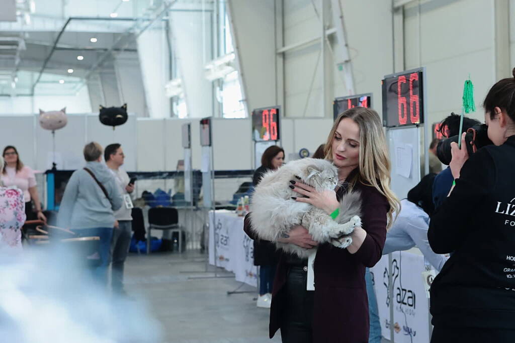 EAttachments9391160ecc128afb4e641a1619bfe0e1de2e0ab xl