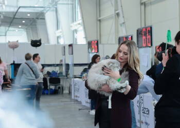 EAttachments9391160ecc128afb4e641a1619bfe0e1de2e0ab xl