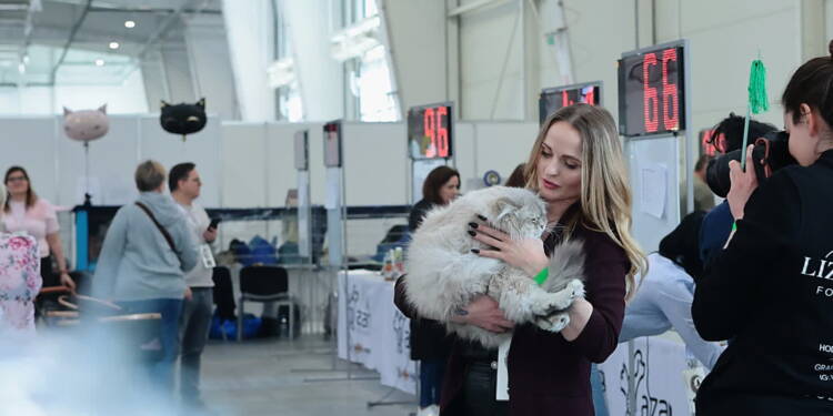 EAttachments9391160ecc128afb4e641a1619bfe0e1de2e0ab xl