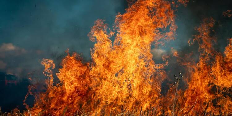 Niebezpieczne wypalanie traw. Ponad 100 interwencji strażaków 1 EAttachments93915752f3de1d52b33dc35237e61b394532b0a xl