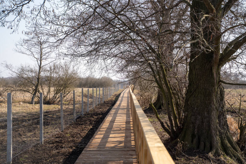 EAttachments939160249bc3ced9864e5a2fb41c010d8170a72 xl