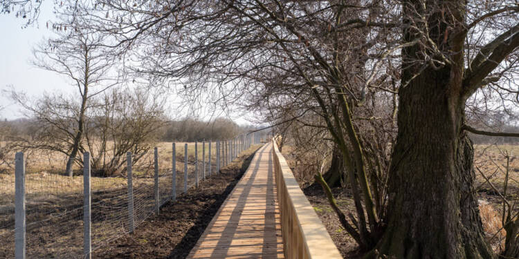 EAttachments939160249bc3ced9864e5a2fb41c010d8170a72 xl