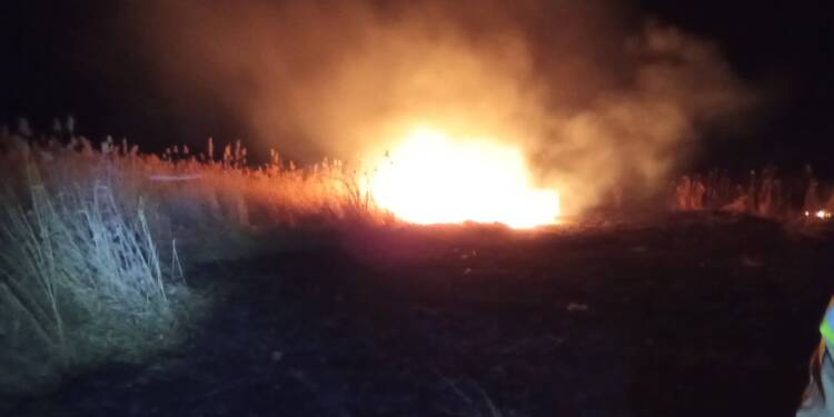 EAttachments9391914726eb537bd821cc7604321f3b9e365b5 xl