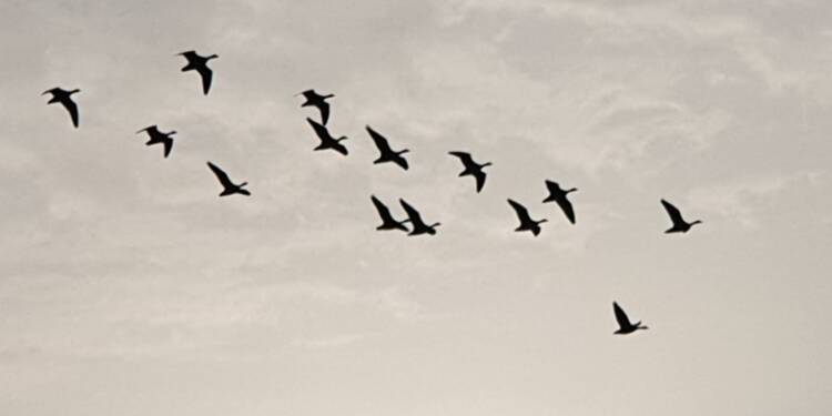 EAttachments939232774377c70838666f3637d9a3049fd511d