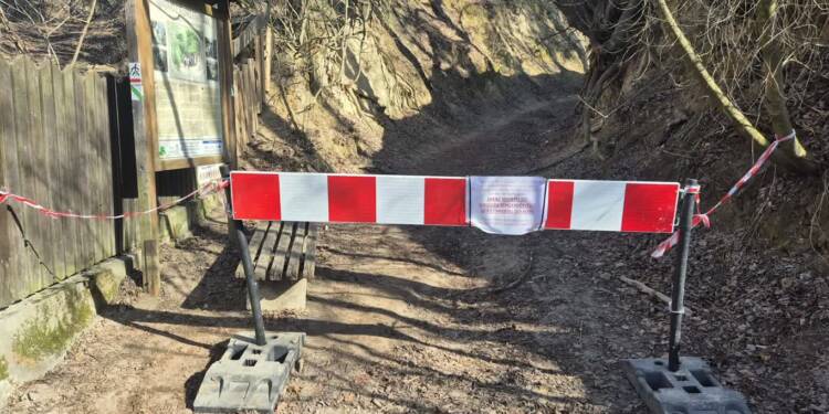 Bezpieczeństwo ważniejsze od turystyki. Wąwóz Korzeniowy w Kazimierzu Dolnym zamknięty 1 EAttachments9394211a7db8e99f6fb60c90d8594d81946daf3 xl