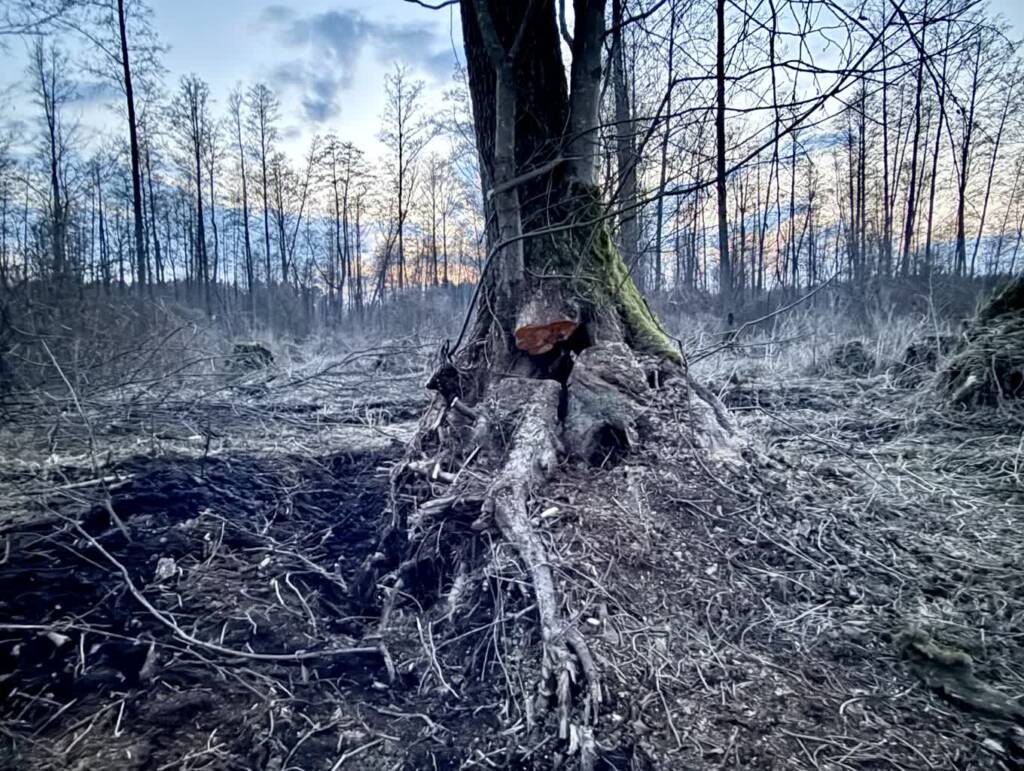 EAttachments93946924e91cf0d0cdd893f165a5386884c9e43 xl