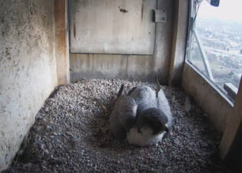 EAttachments9395214c1cd227f095f95f24f8344a97fb02a07 xl 1024x614 1