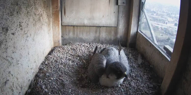 EAttachments9395214c1cd227f095f95f24f8344a97fb02a07 xl