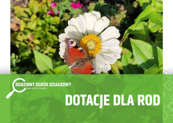 EAttachments9395493b3466525dc4f395414c8a850b9c6ade6