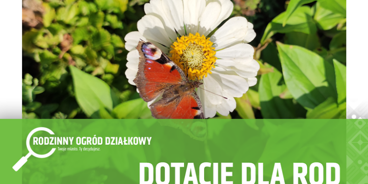 EAttachments9395493b3466525dc4f395414c8a850b9c6ade6