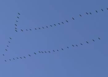 EAttachments93966853eba7f29cf1bc6dccfdca81d4a6b518a xl