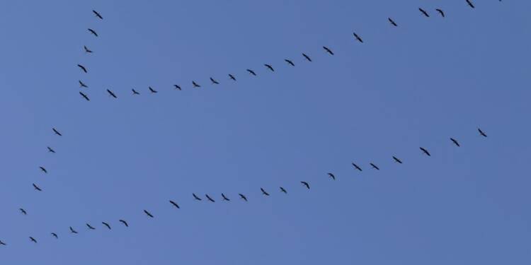 EAttachments93966853eba7f29cf1bc6dccfdca81d4a6b518a xl