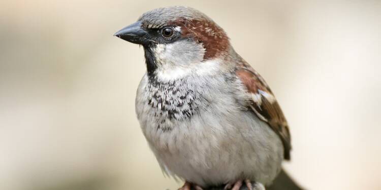 EAttachments9402319df5d4314d4681f8776e1fba859517906 xl