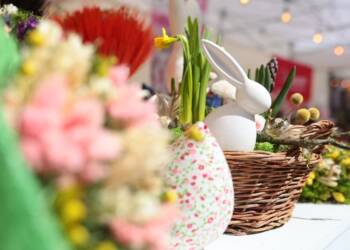 EAttachments9402535e786e817bc0083ee46dc9532421f7e29 xl