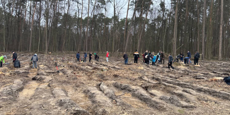 EAttachments940301728e92c9e0a0eb82ea406a10c65dde8ed xl 1