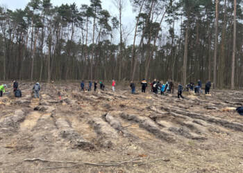 EAttachments940301728e92c9e0a0eb82ea406a10c65dde8ed xl 1024x769 1