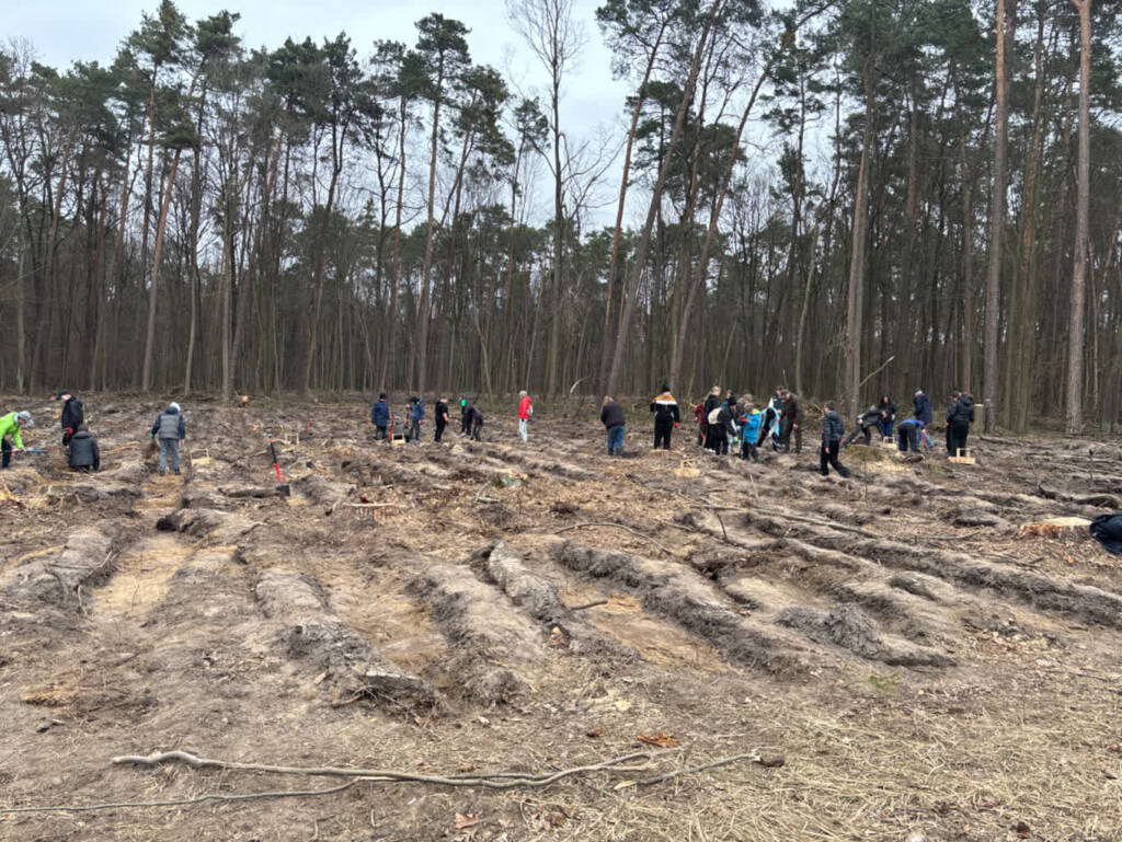 21.03.2026 Leśne wędrowanie 1 EAttachments940301728e92c9e0a0eb82ea406a10c65dde8ed xl