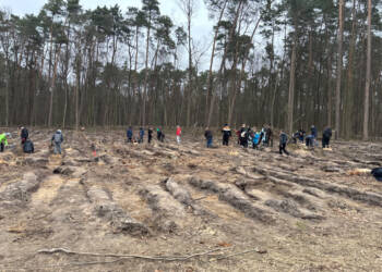 21.03.2026 Leśne wędrowanie 2 EAttachments940301728e92c9e0a0eb82ea406a10c65dde8ed xl