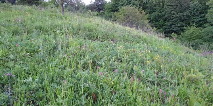 EAttachments9404817550ae9c8527713fbf3c7c7bf476e4875 xl