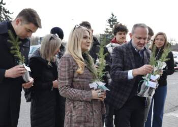 EAttachments9405155f42d3c6f39aaf6be79bb3c6f01ac7feb xl 1024x771 1