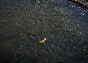 EAttachments9405366fce38095c88164c0bc83b345783d08f2 xl