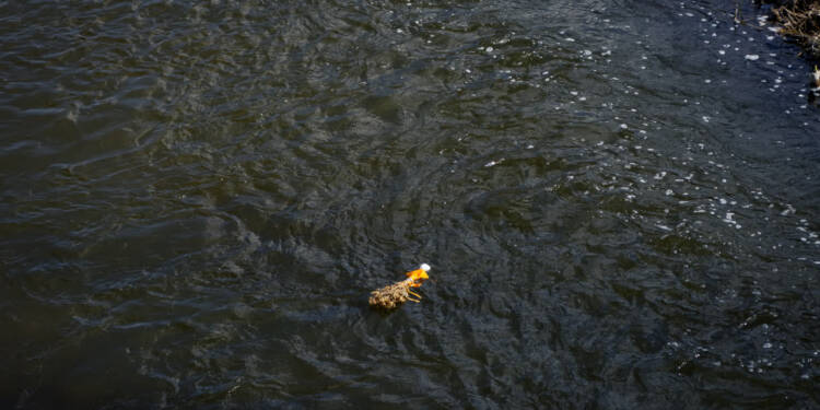 Topienie rowerowej Marzanny w Lublinie 1 EAttachments9405366fce38095c88164c0bc83b345783d08f2 xl