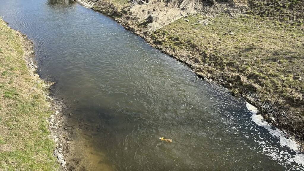 Utopili Marzannę! Lubelscy rowerzyści rozpoczynają sezon 4 EAttachments940537991410b5a8f4b157cf57e536036df3e07 xl