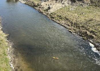 EAttachments940537991410b5a8f4b157cf57e536036df3e07 xl