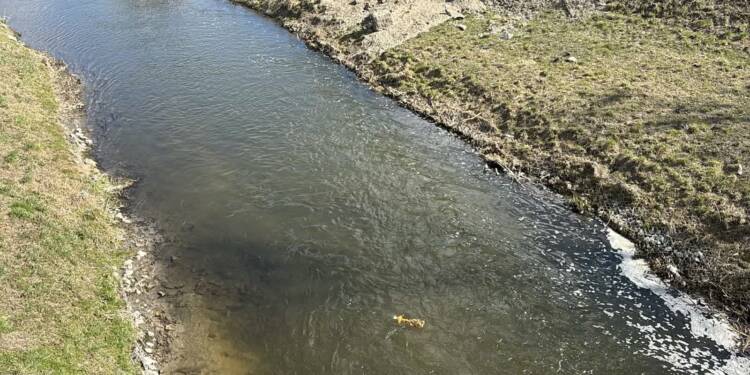 EAttachments940537991410b5a8f4b157cf57e536036df3e07 xl