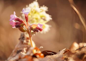 EAttachments9405644b5af53c40d32e9c97caf1d3784d9134c xl