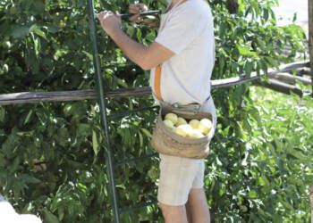 EAttachments94064993cc0e9d887ba49ab8a139adb6b951b72 xl