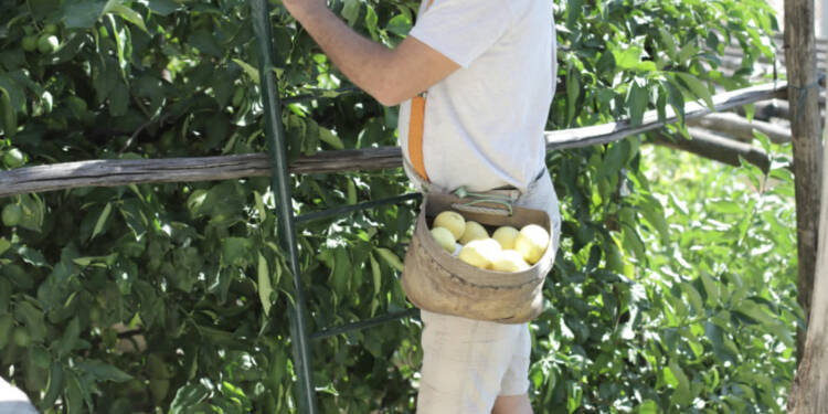 EAttachments94064993cc0e9d887ba49ab8a139adb6b951b72 xl