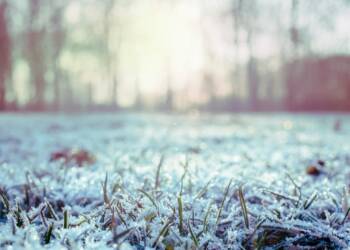 Nawet -6°C. IMGW ostrzega region 2 EAttachments9406539c0de443e3d8eae9f1303c23d19df9ea1 xl 1