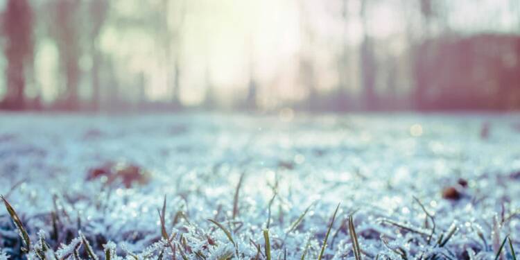 EAttachments9406539c0de443e3d8eae9f1303c23d19df9ea1 xl 1