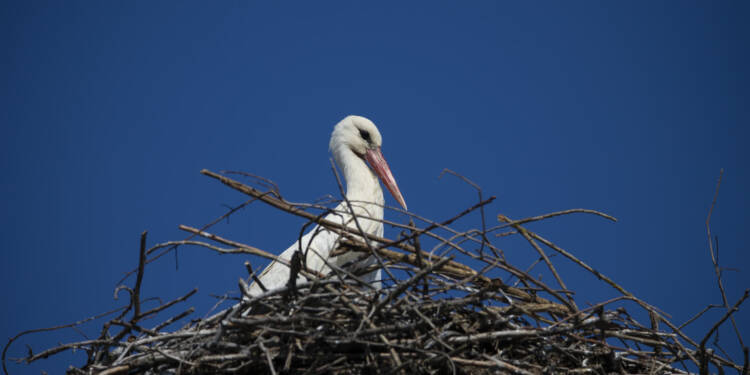 EAttachments9406845c0df27df576c6b6f81a32194fdcecad3 xl