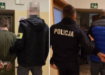 EAttachments94089421fafeff95ebcf74b511b973f98d8a0f7 xl