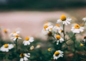 EAttachments94096578a4bb24808d5549294b404fe16ac988f xl