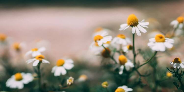 EAttachments94096578a4bb24808d5549294b404fe16ac988f xl